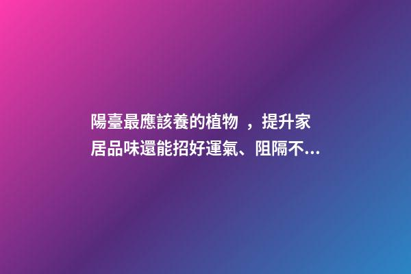 陽臺最應該養的植物，提升家居品味還能招好運氣、阻隔不良氣場